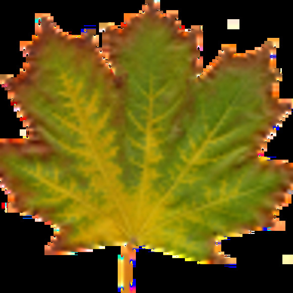 Meet your Posher, Meg - Picture 1 of 1